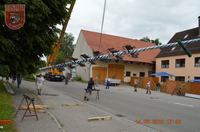 13. und 14.06.2013 Der Maibaum wird umgelegt