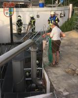 2019-06-14_einsatzuebung_004.jpg